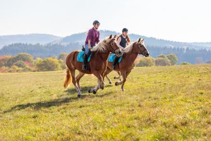 Reiten bei Freunden