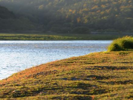 Edersee - Natur pur eleben
