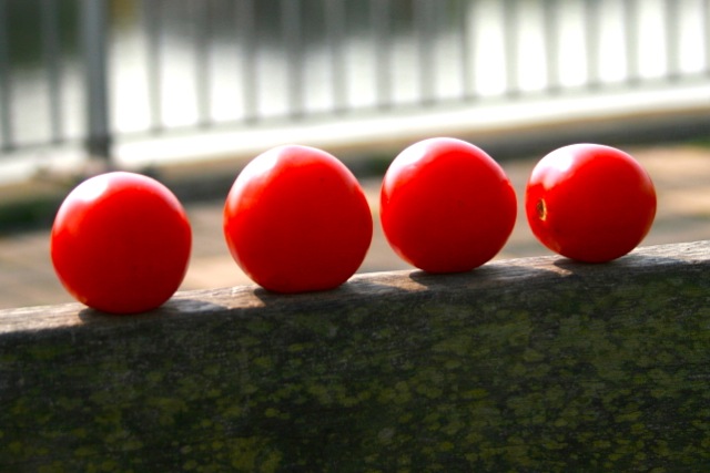 Haben Sie auch mal Tomaten auf den Augen?