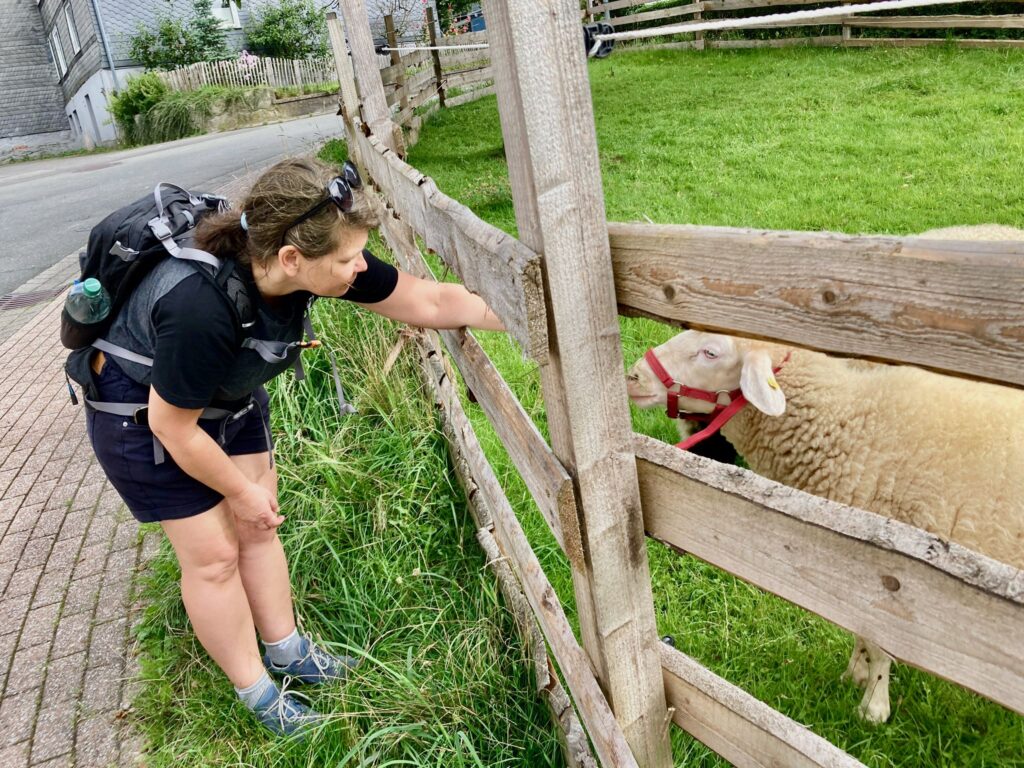 Tierische Begegnungen Willingen Wandern