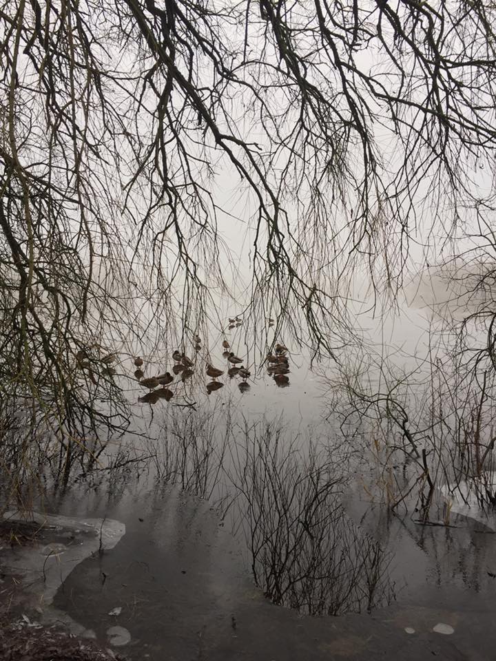 Winterwanderung Nordpfad Voerder See