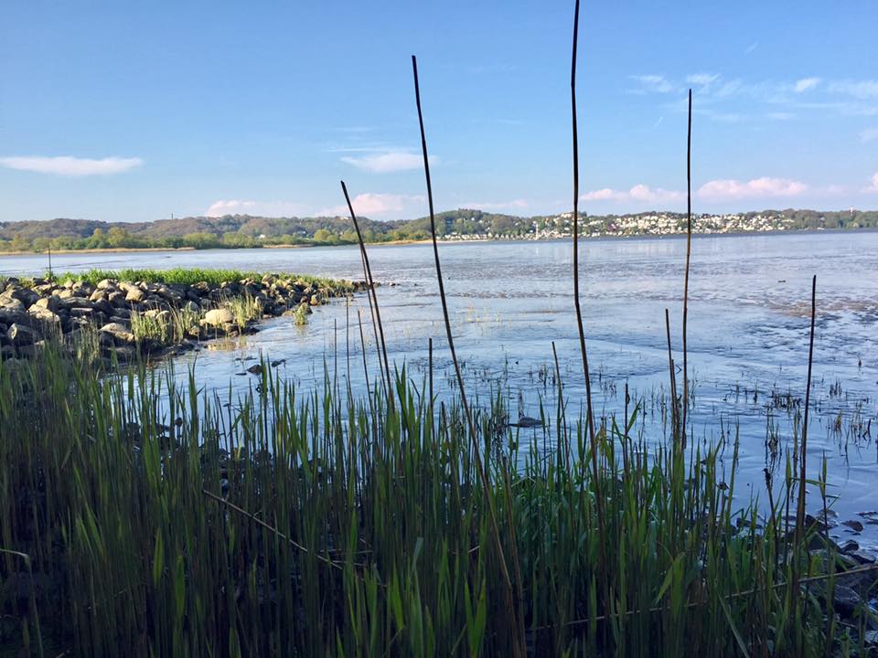 Altes Land Urlaubsregion - An der Elbe mit Blick auf Blankenese