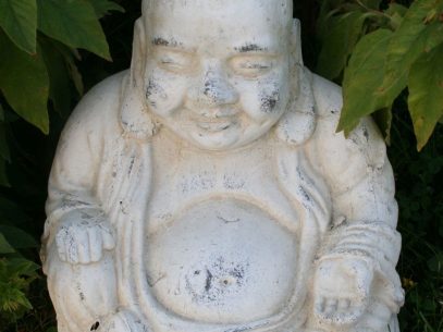 Buddhisten als Bio-Vorreiter?