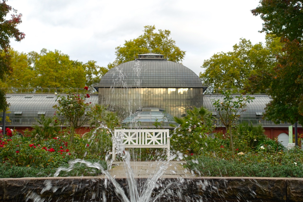 Insider Tipps Frankfurt Palmengarten