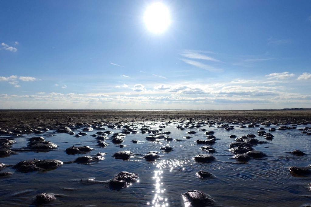 Wangerooge unterwegs im Watt