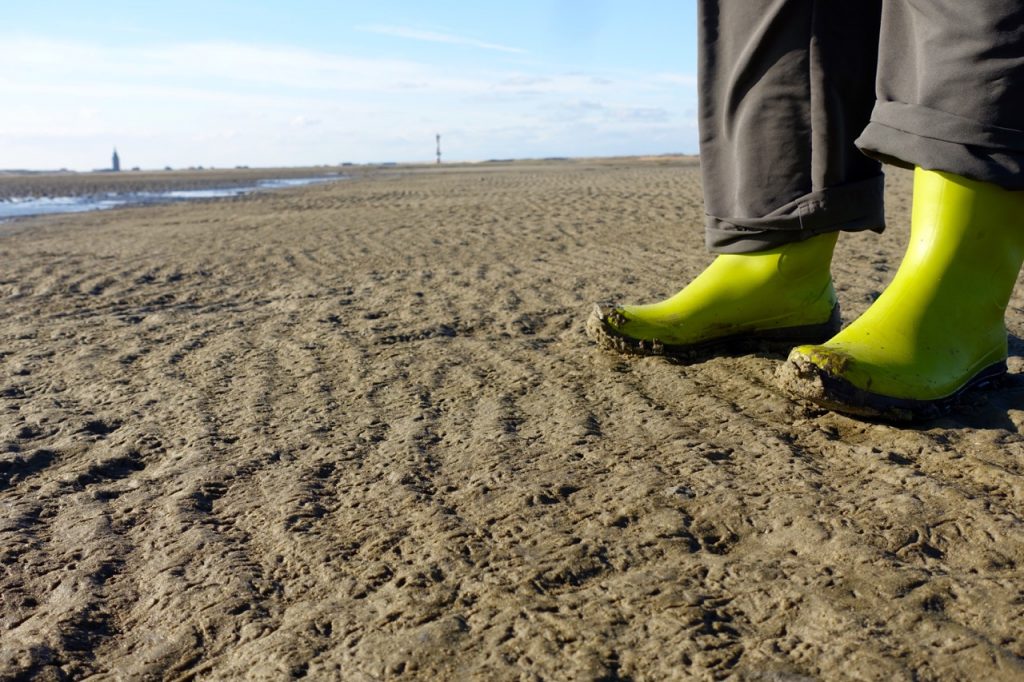 Wangerooge Thalasso - Wattwanderung