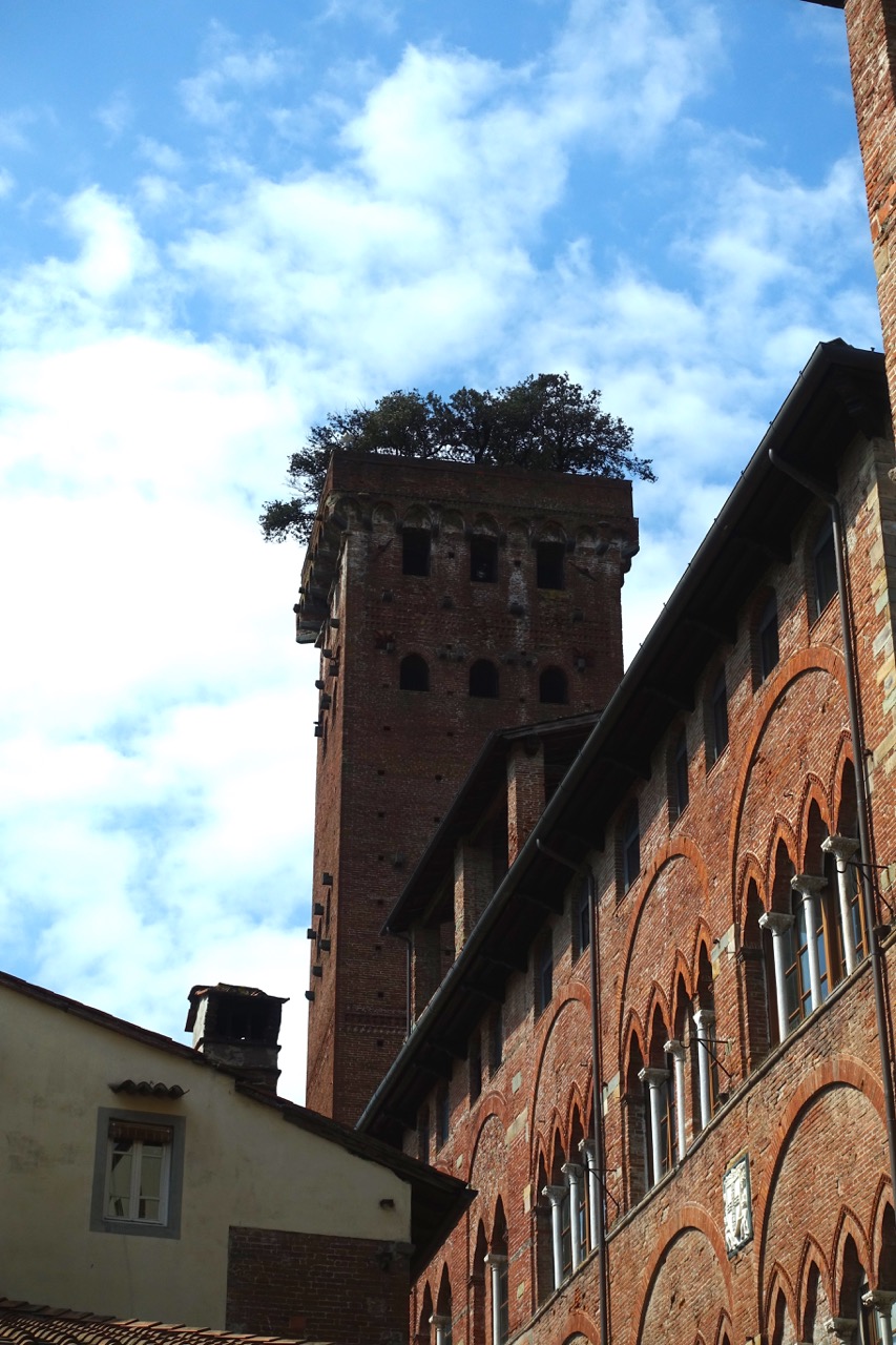 Lucca Reisetipps Torre Giugini