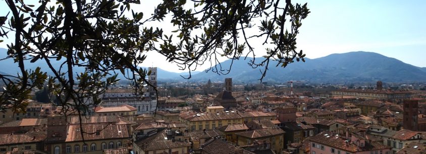 Lucca Reisebericht: Aussicht Torre Guigini