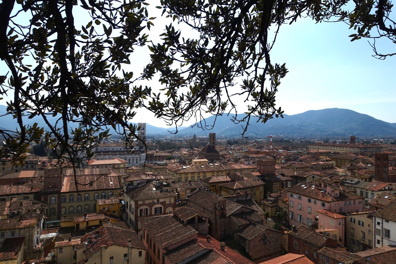 Lucca Reisebericht: Aussicht Torre Guigini