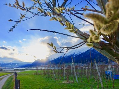 Hall Wattens Tirol