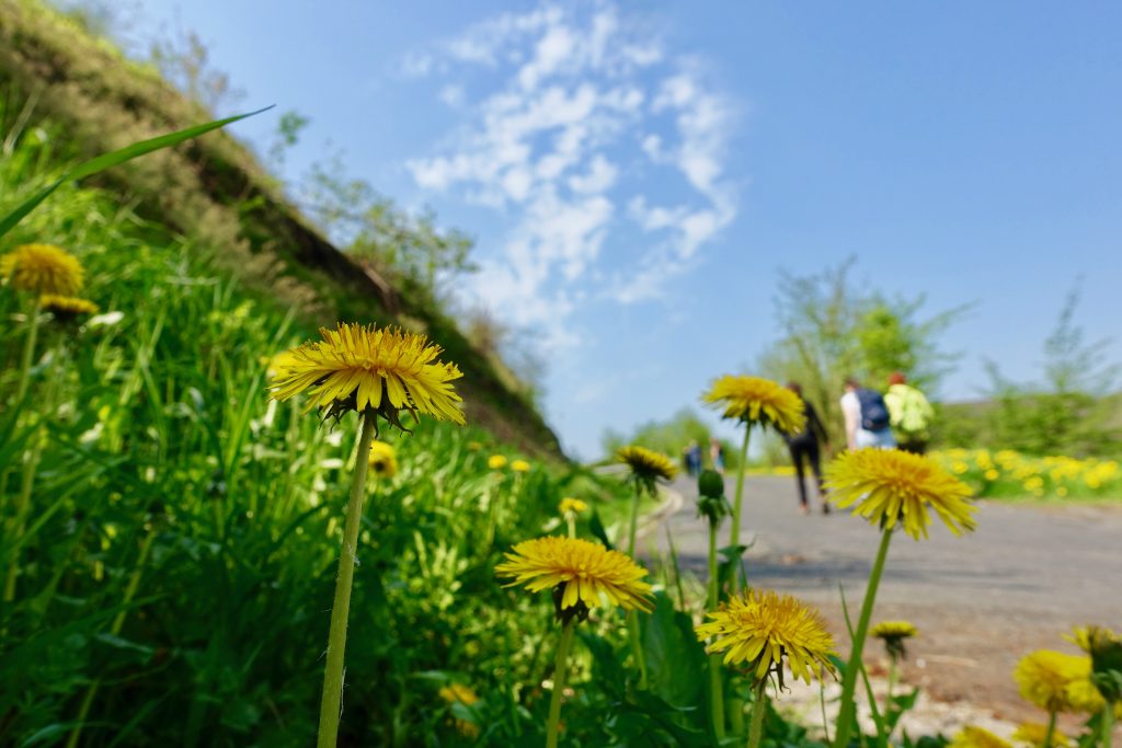 Mosel Urlaub 