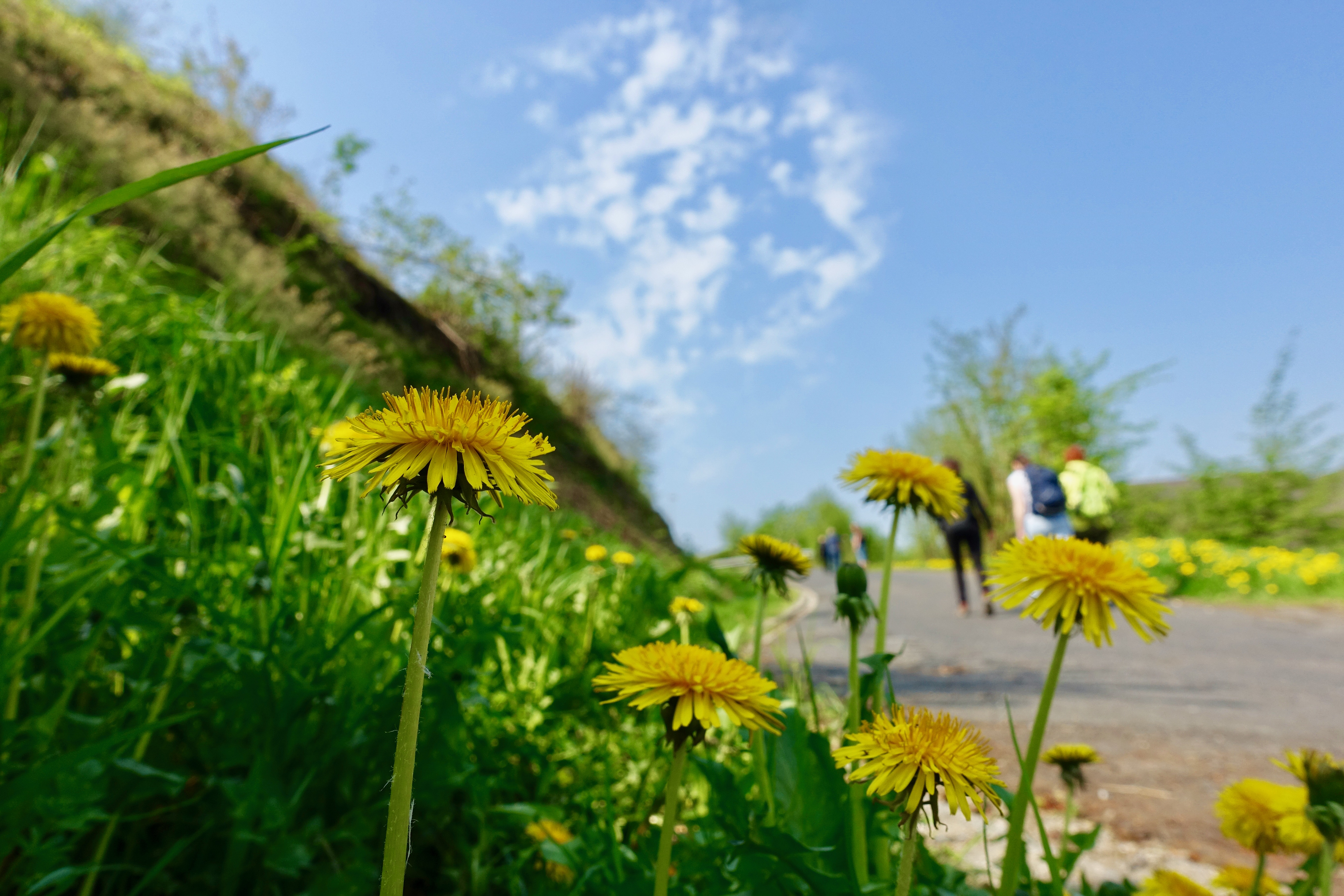 Mosel Urlaub