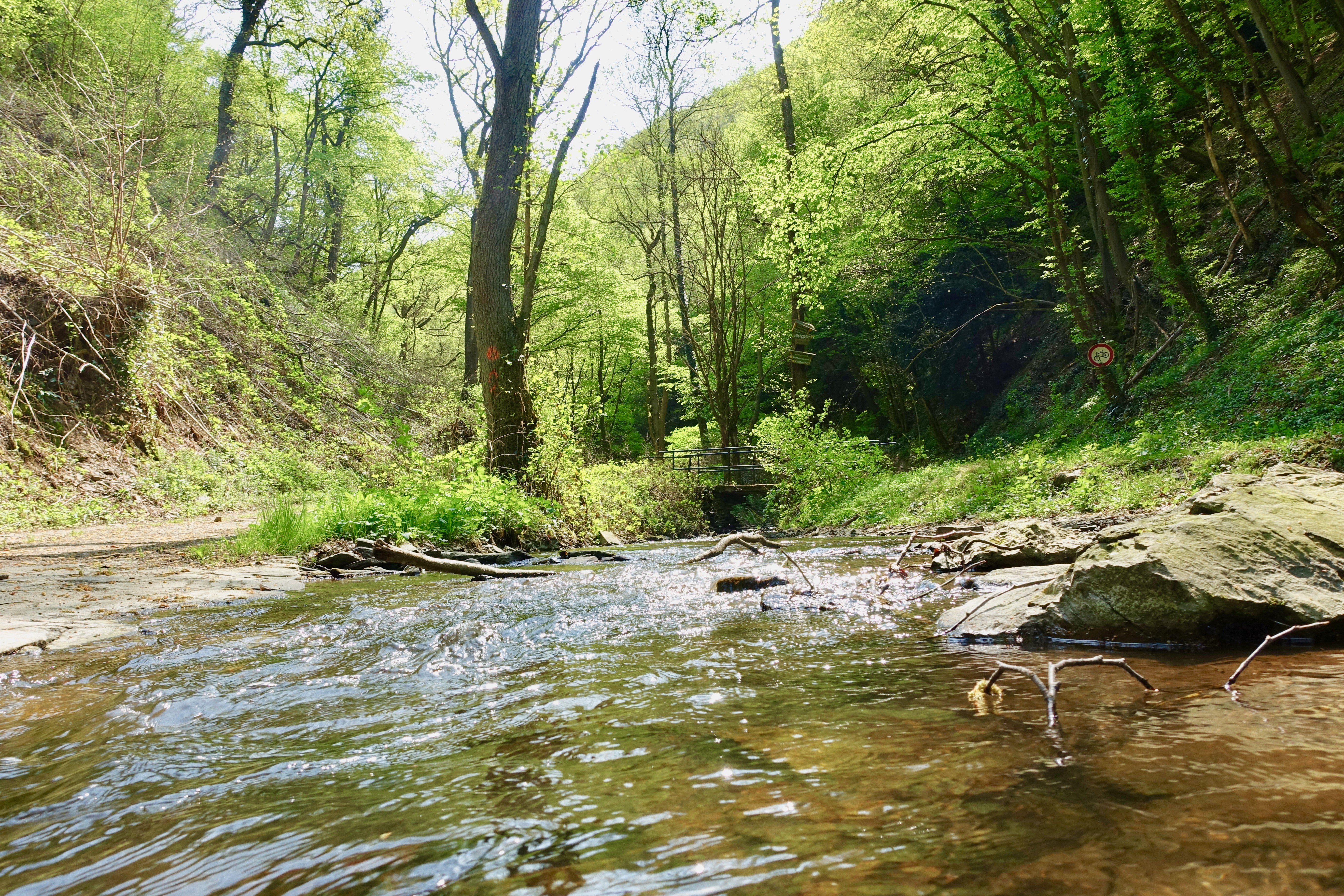 Brodenbach Ehrbachklamm