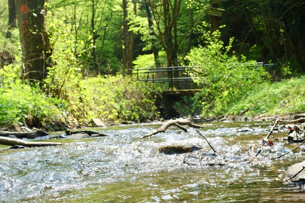 #AbenteuerBrodenbach: Wanderung durch das Donnerloch Brodenbach Mosel