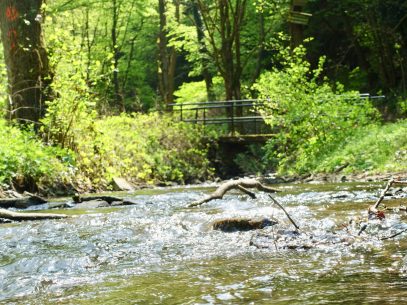 Wandern Brodenbach Mosel