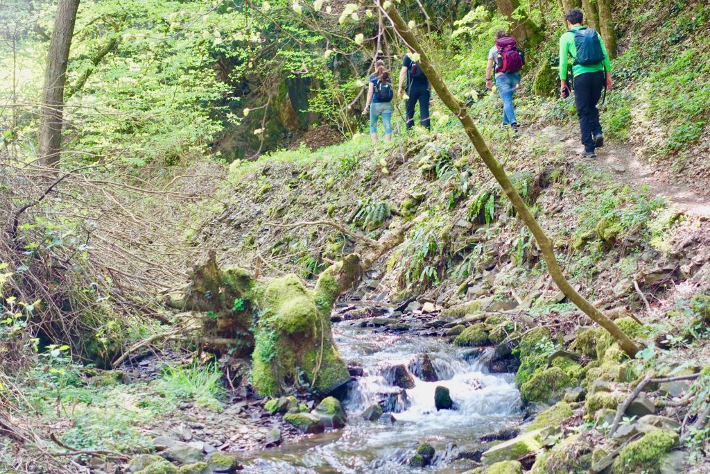 Brodenbach Mosel wandern - immer am Brodenbach entlang