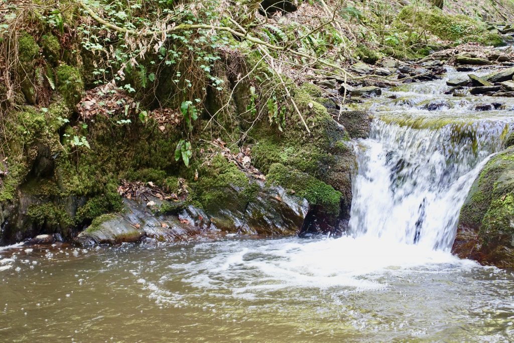 Wandern Brodenbach Mosel - Das Donnerloch