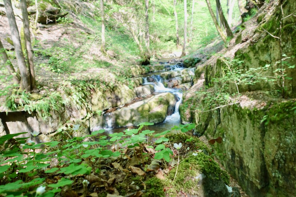 Brodenbach wandern: Donnerloch Brodenbach