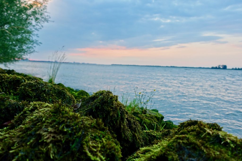 Luehesand Mikroabenteuer Hamburg