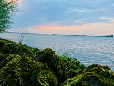 Luehesand Mikroabenteuer Hamburg