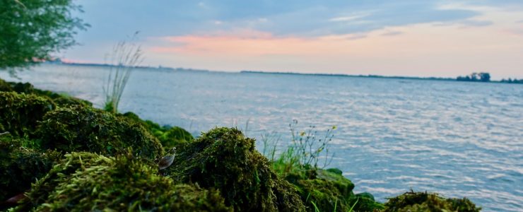 Luehesand Mikroabenteuer Hamburg