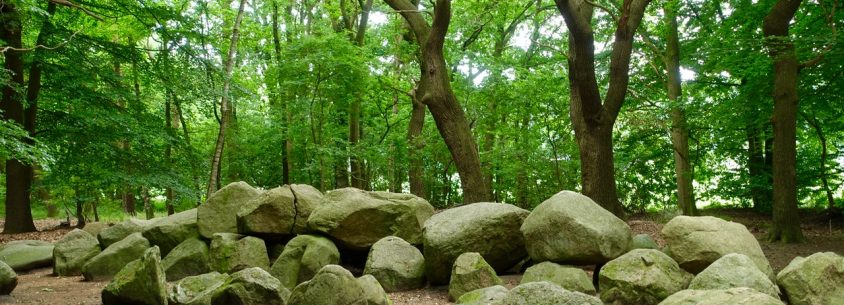 Steingrab im Wald - an der Straße der Megalithkultur