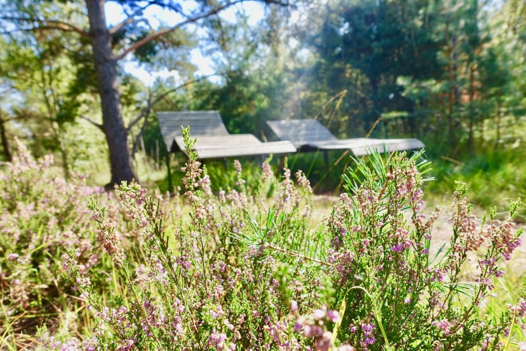 Tister Bauernmoor Chillstationen