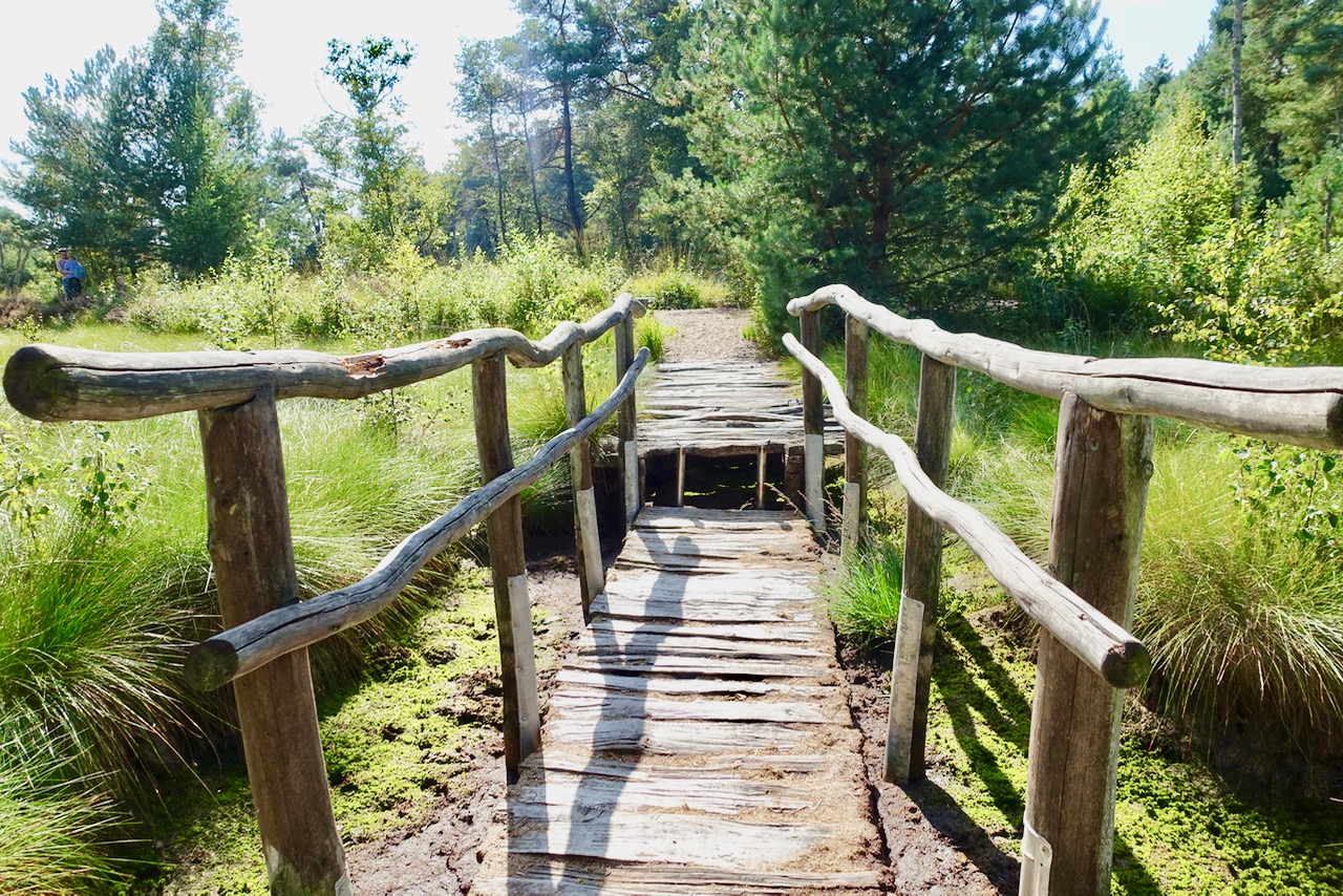 Tister Bauernmoor Schwingrasenbruecke