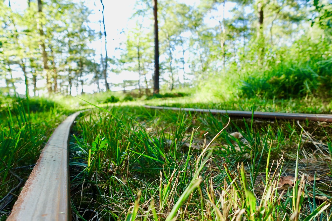 Schienen durch das Tister Bauernmoor