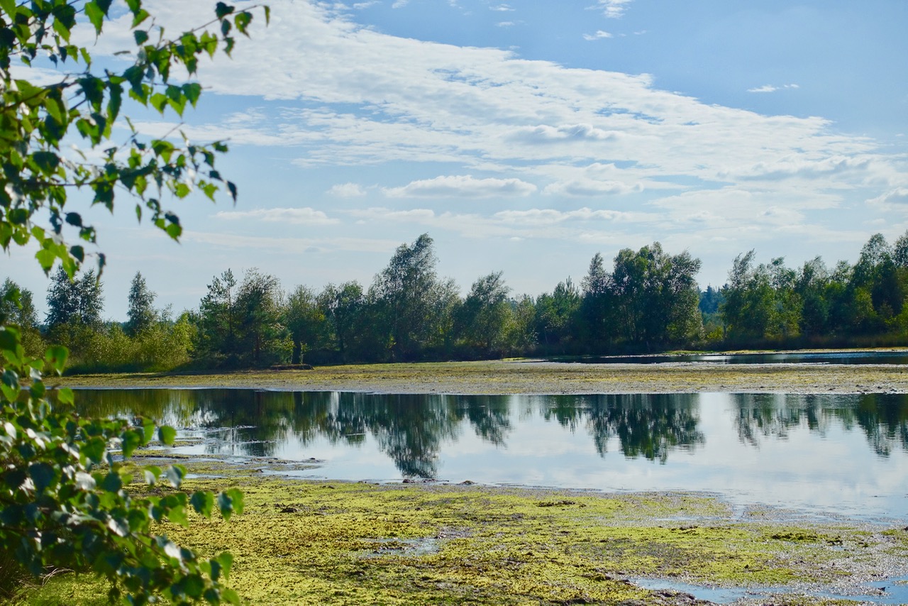Willkommen im Tister Moor