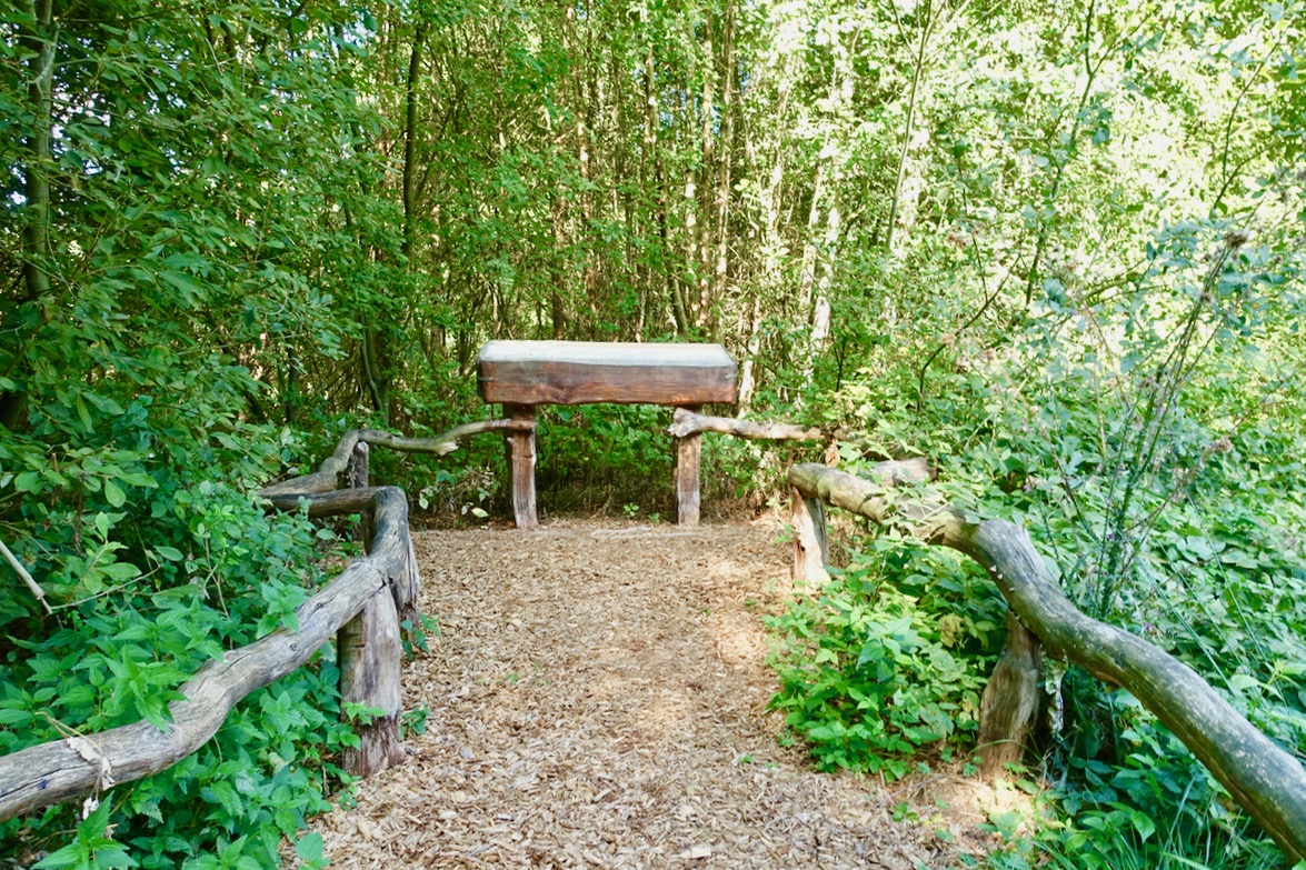 Entdeckerstationen im Tister Bauernmoor