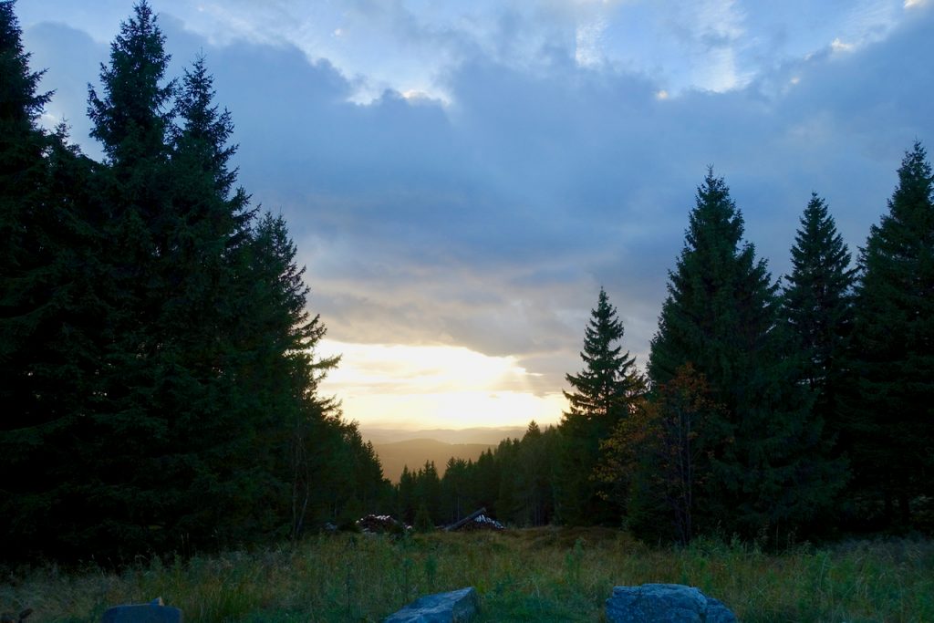 Wandern im Harz - auf der Jagd nach der Harzer Wandernadel