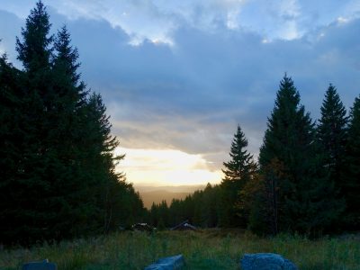 Wandern im Harz - auf der Jagd nach der Harzer Wandernadel