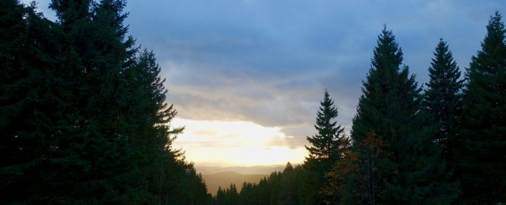 Wandern im Harz - auf der Jagd nach der Harzer Wandernadel