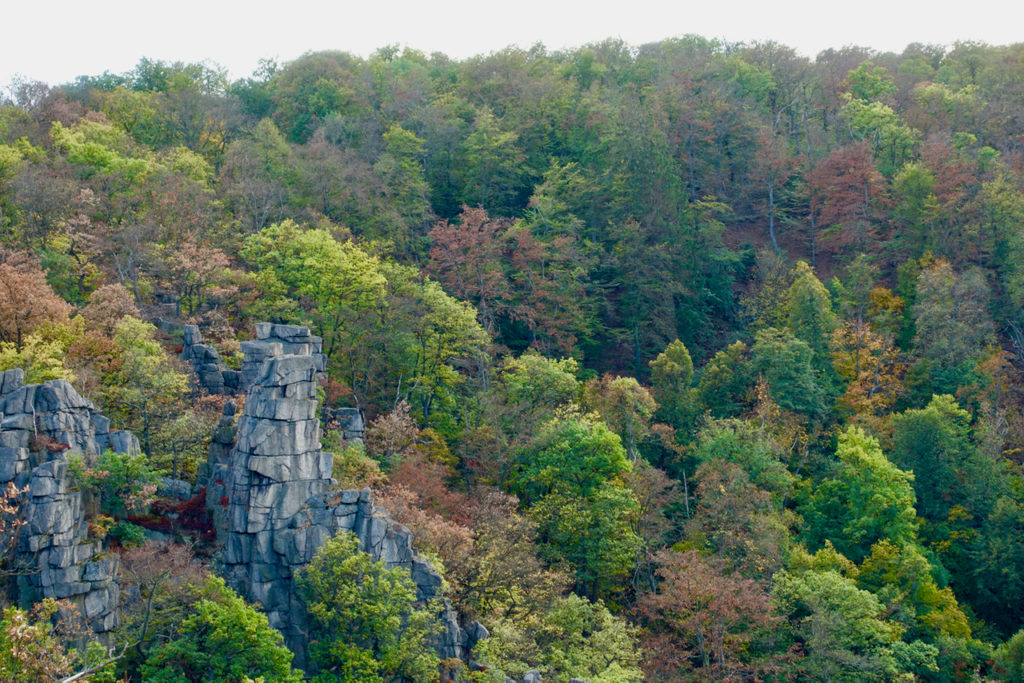 Urlaub im Harz Thale