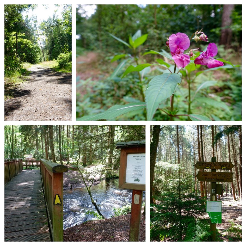 Entdeckungen auf dem Estewanderweg