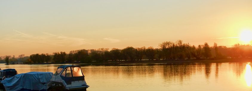 Das Rheingau erwacht Wellnessurlaub Oestrich Winkel