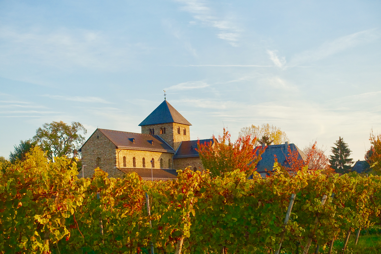 Rheingau Urlaub im Herbst