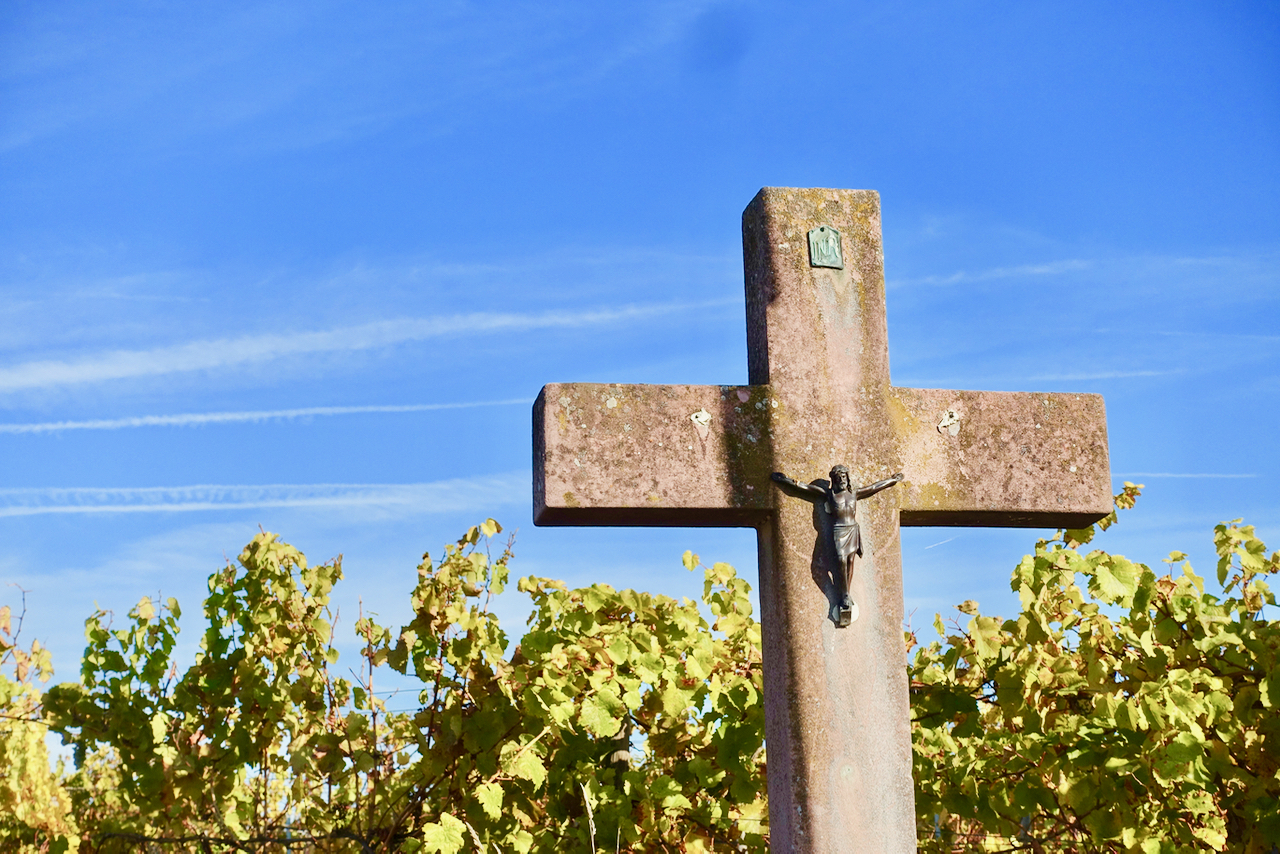 Urlaub im Rheingau