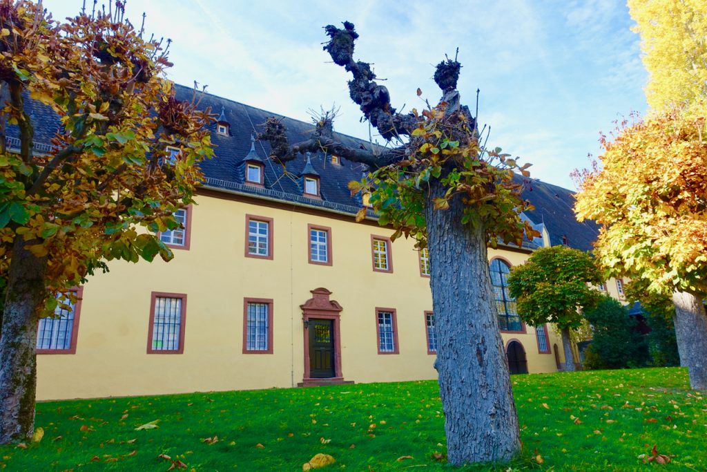 Schloss Vollrads Rheingau