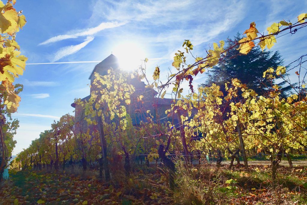 Schloss Johannisberg Rheingau