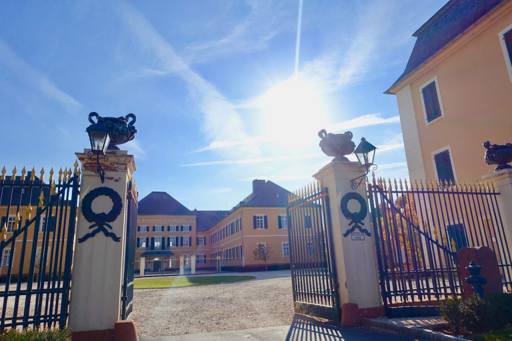 Schloss Johannisberg Rheingau wandern