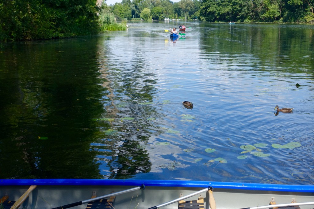 Paddeln auf der Wakenitz