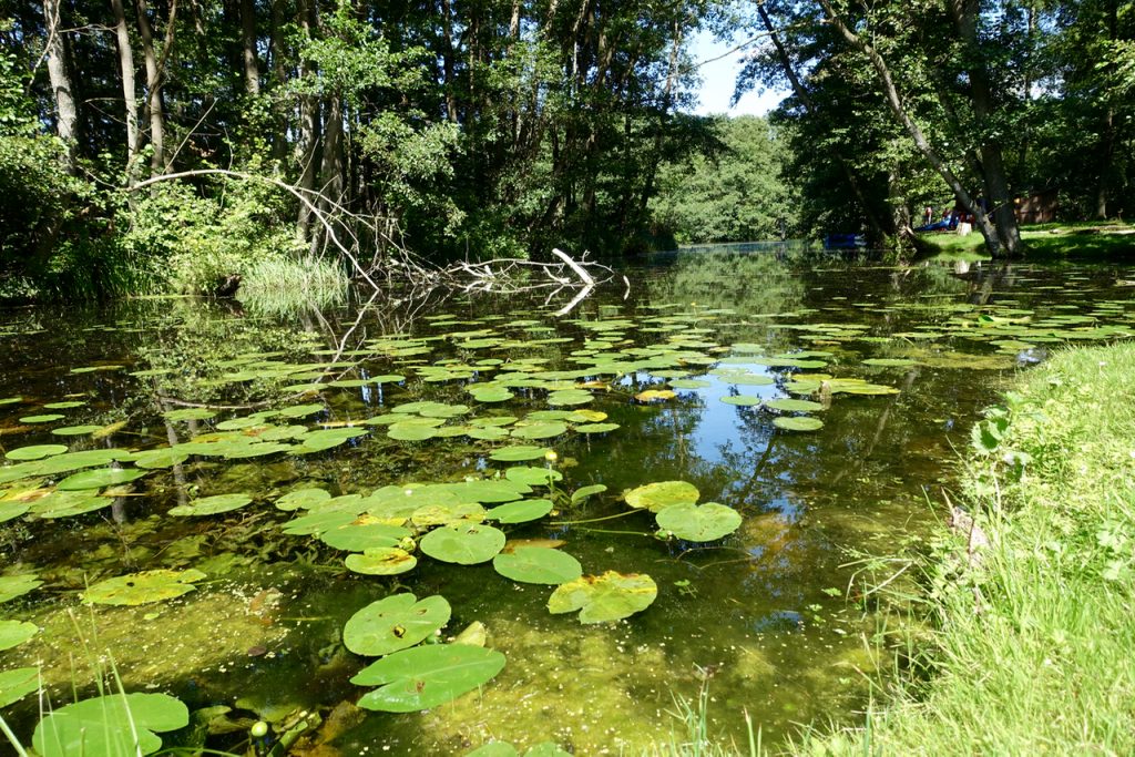 Städtetrip Deutschland - Lübeck vom Wasser, mit dem Kanu auf der Wakenitz