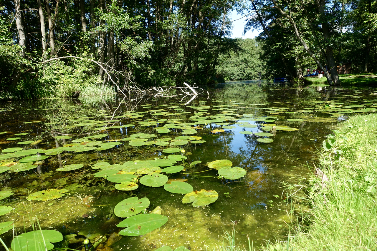 Städtetrip Lübeck – mit dem Kanu auf der Wakenitz