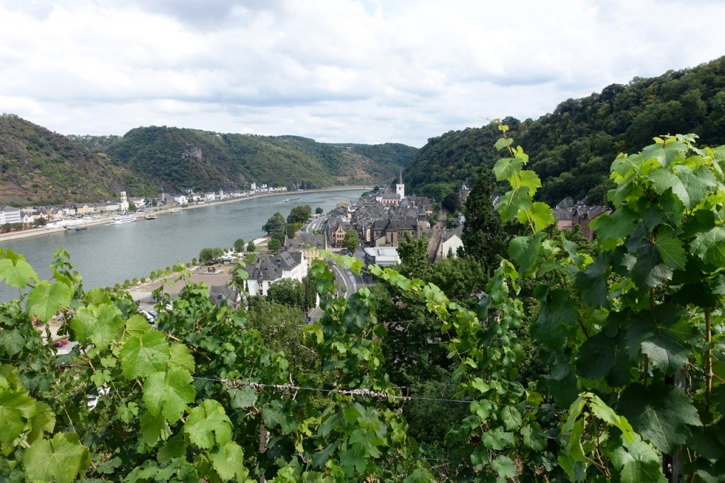 Blick auf den Rhein