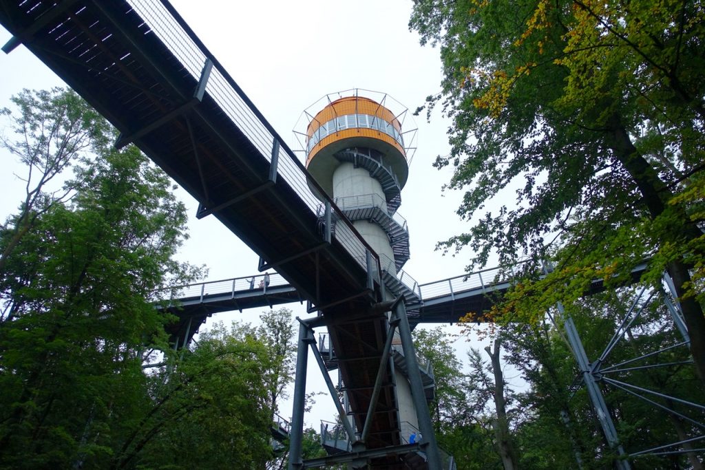 Urlaub in Thüringen - Baumwipfelpfad im Hainich