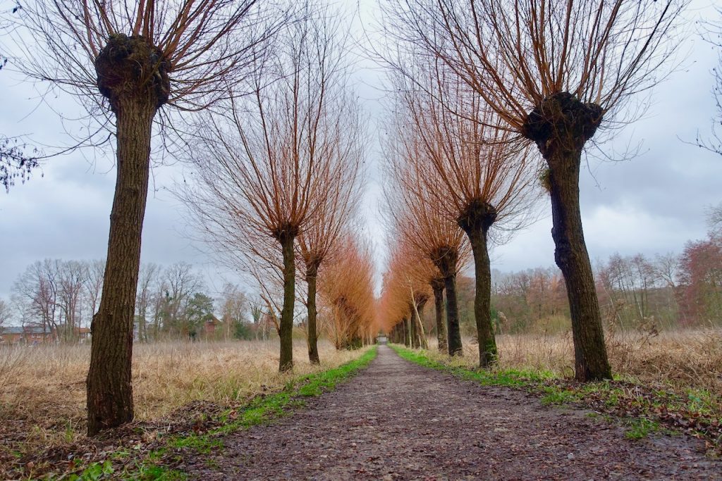 Wandern, Genuss, Wellness in Bad Bevensen