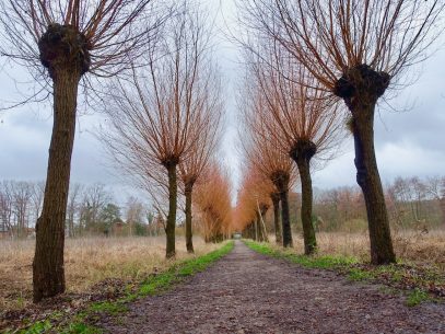 Wandern, Genuss, Wellness in Bad Bevensen