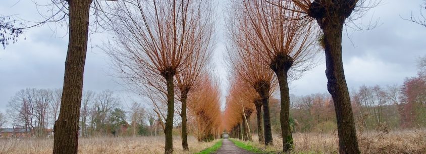 Wandern, Genuss, Wellness in Bad Bevensen